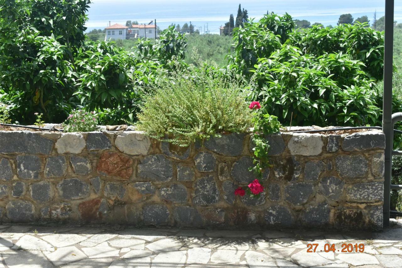 Ouranias Studios Kardamyli Exterior photo